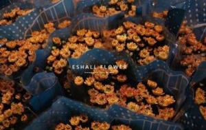 凌晨四点第一季/全集Four in the Morning 凌晨四点第一季/全集Four in the Morning